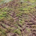Geotechnical Topics: Soil Compaction