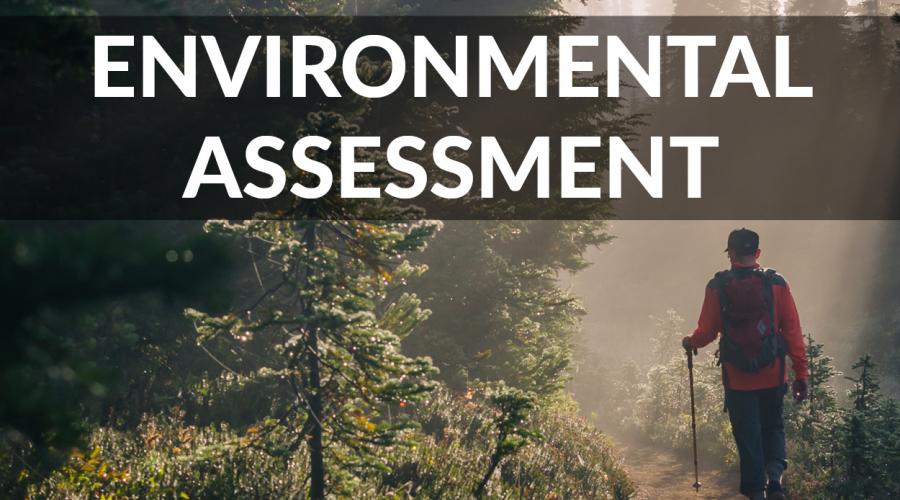 Environmental assessment