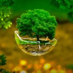 Energy Flow In The Ecosystem