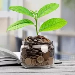 How will you invest your lull?