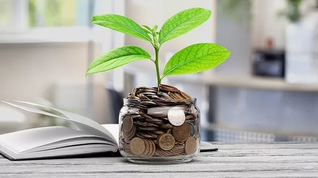 How will you invest your lull?