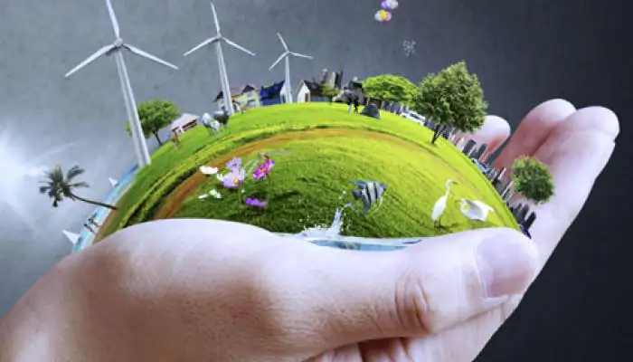 Type And Structure Of Environment
