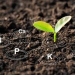 Geotechnical Topics: Soil Formation