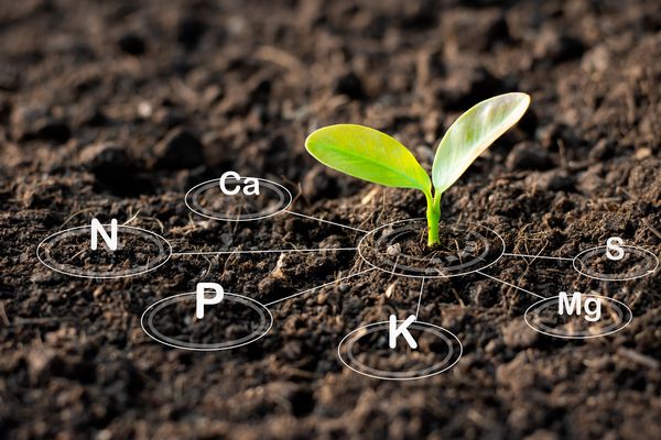 Geotechnical Topics: Soil Formation
