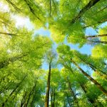 ENVIRONMENT AND HUMAN HEALTH