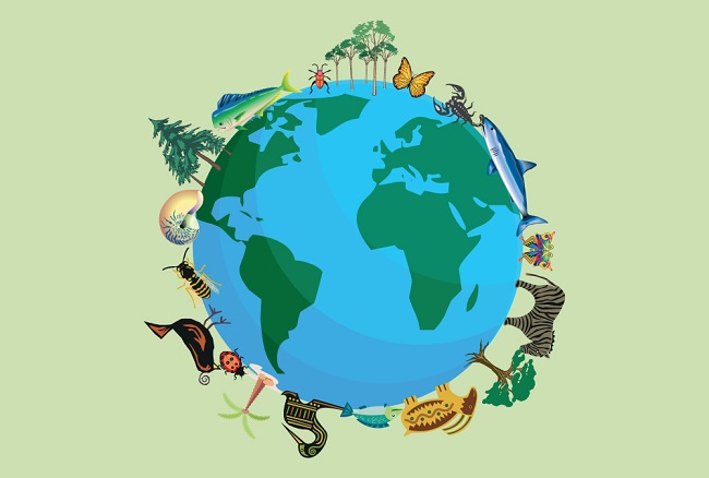 Biodiversity and ecosystems