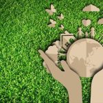 Biodiversity Value, Threats And Conservation