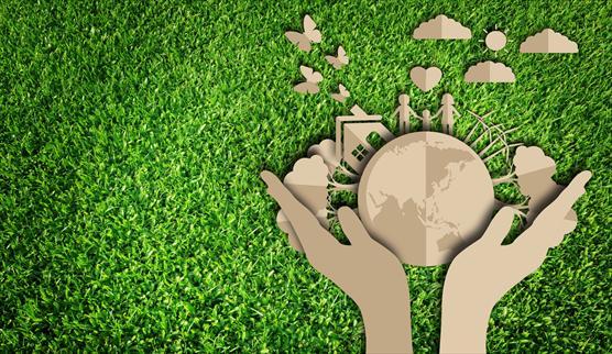 Biodiversity Value, Threats And Conservation
