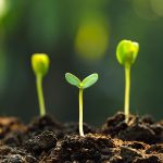 Geotechnical Topics: Soil Classification