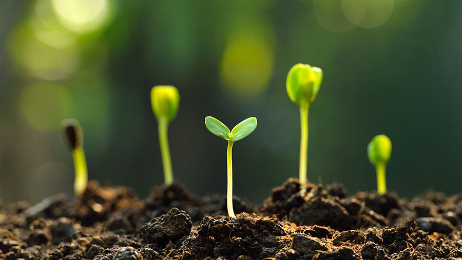 Geotechnical Topics: Soil Classification