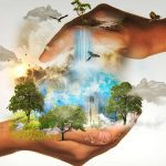 Biodiversity Conservation
