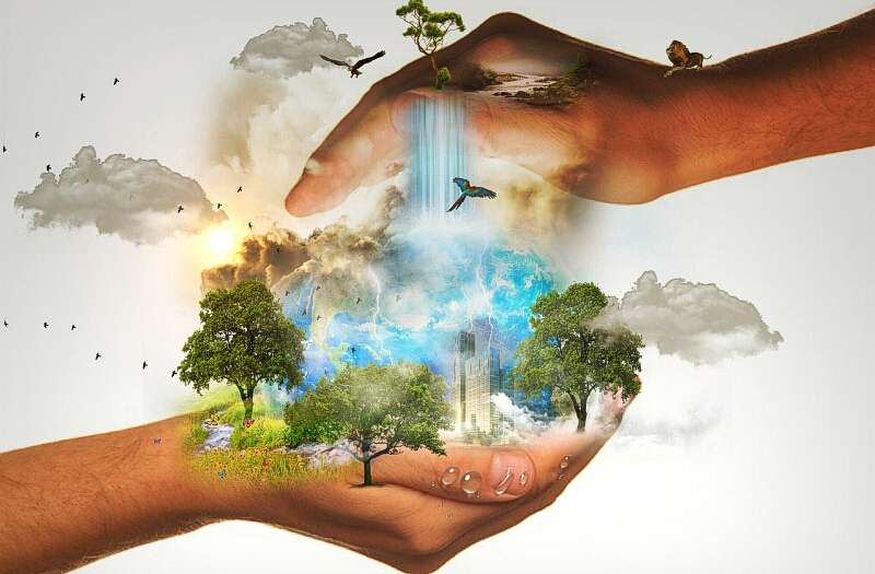 Biodiversity Conservation