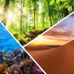 Concept Of Ecosystem