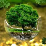 Ecology: Understanding Energy Flow in Biological Systems