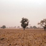 Soil Pollution