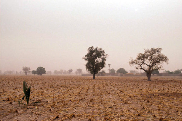 Soil Pollution