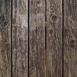 Causes and Control of Wood Rot