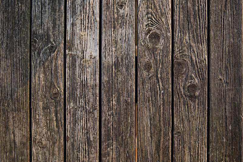 Causes and Control of Wood Rot