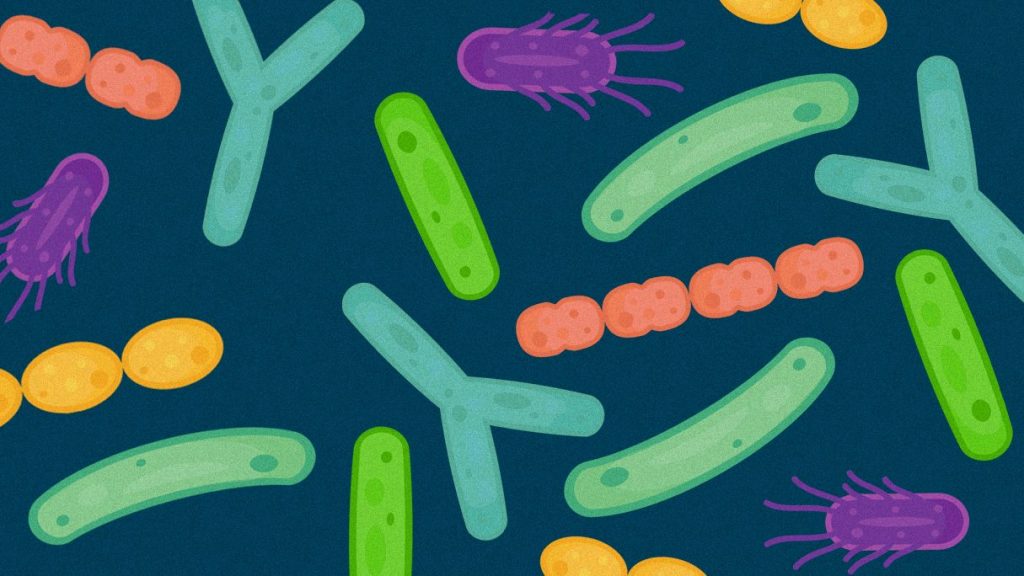 Prevention of corrosion in RCC by bacteria