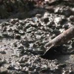6 Properties Of Concrete Used By Designers