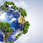 Major Ecosystem Types