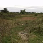 All Wealth Comes from the Land