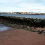 Groynes and Littoral Drift