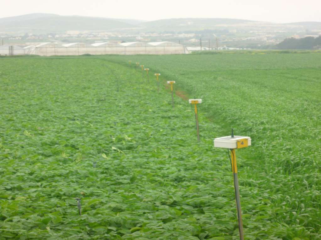 Remote Sensing for Determining Evapotranspiration and Irrigation Demand for Annual Crops