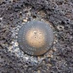 Bench mark (BM)