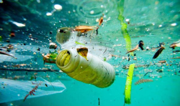 Marine Pollution