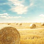 Agricultural Wastes