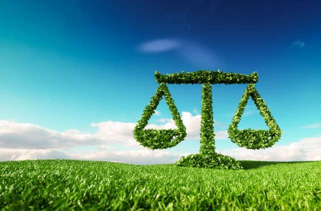 ENVIRONMENTAL ETHICS