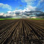 Land Resources