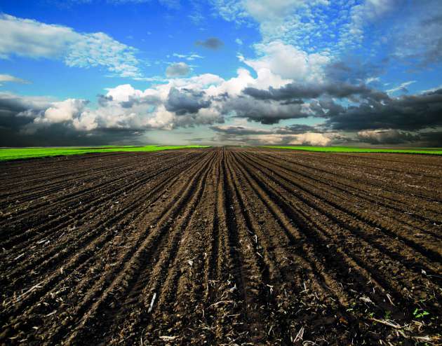 Land Resources