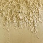 Dampness and Its Prevention