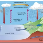 The Water Cycle