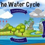 Learn about Natural Water Movement through a Water Cycle Diagram
