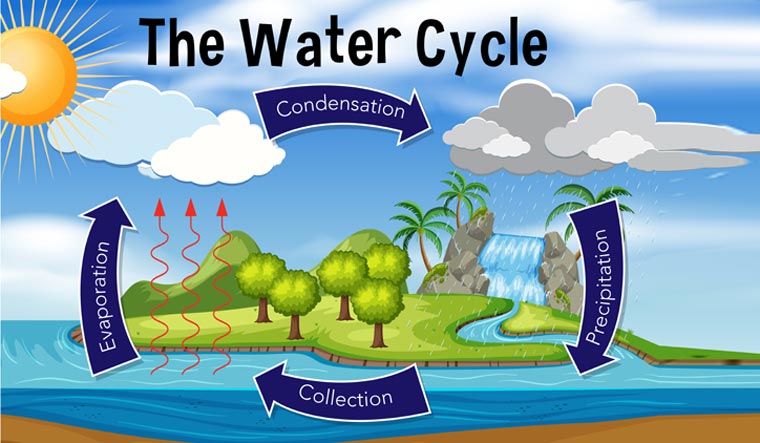 Learn about Natural Water Movement through a Water Cycle Diagram