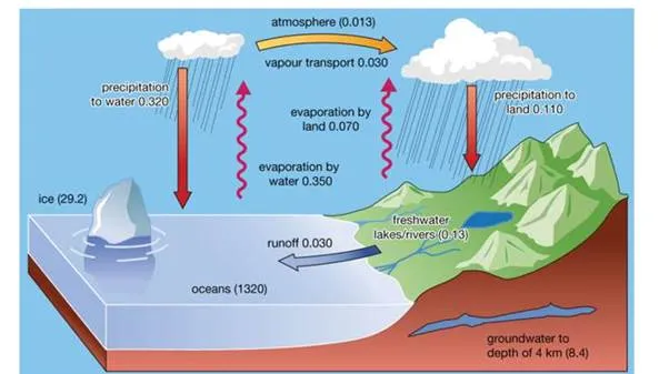 The Water Cycle