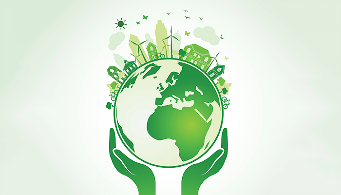 What is an Environmental Impact Assessment?