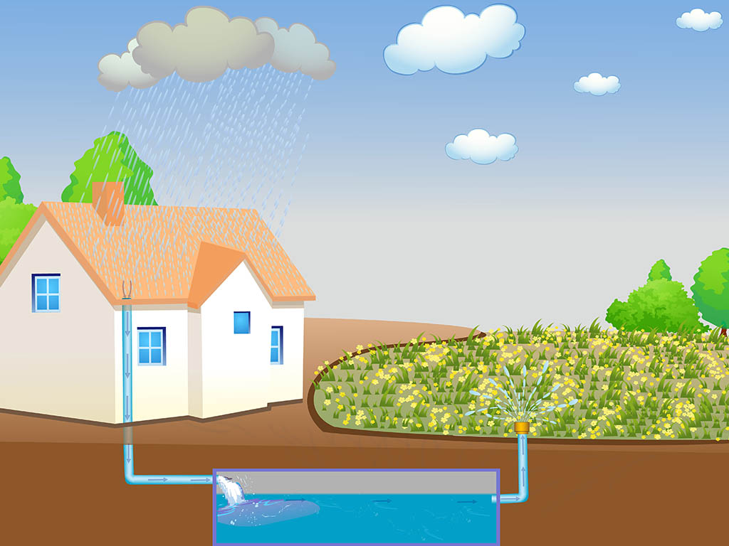 What is Rainwater Harvesting?