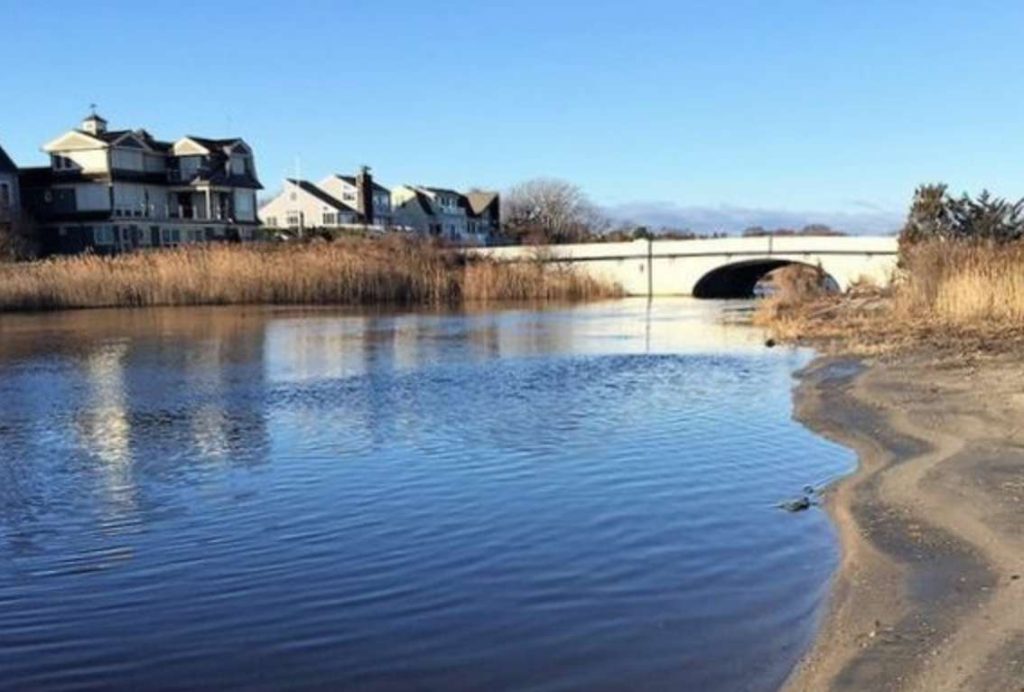 Study Data Leads to Healthier Wreck Pond Ecosystem