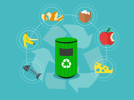 Tips to Reduce Waste
