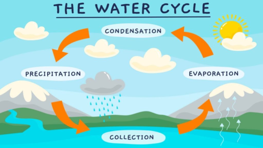 Water cycle