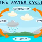 Water cycle