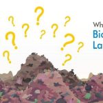 Bioreactor Landfills and Their Benefits