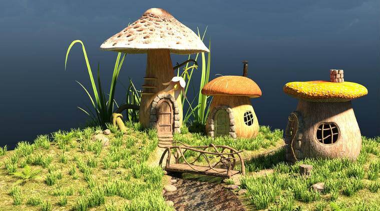 Construction Underground: Being a Mushroom