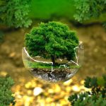 Environment