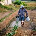 Origins of agriculture