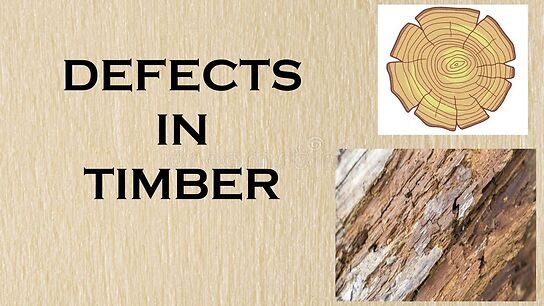 Different Types Of Defects In Timber